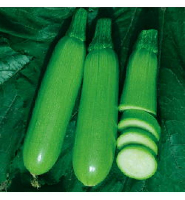 西葫蘆