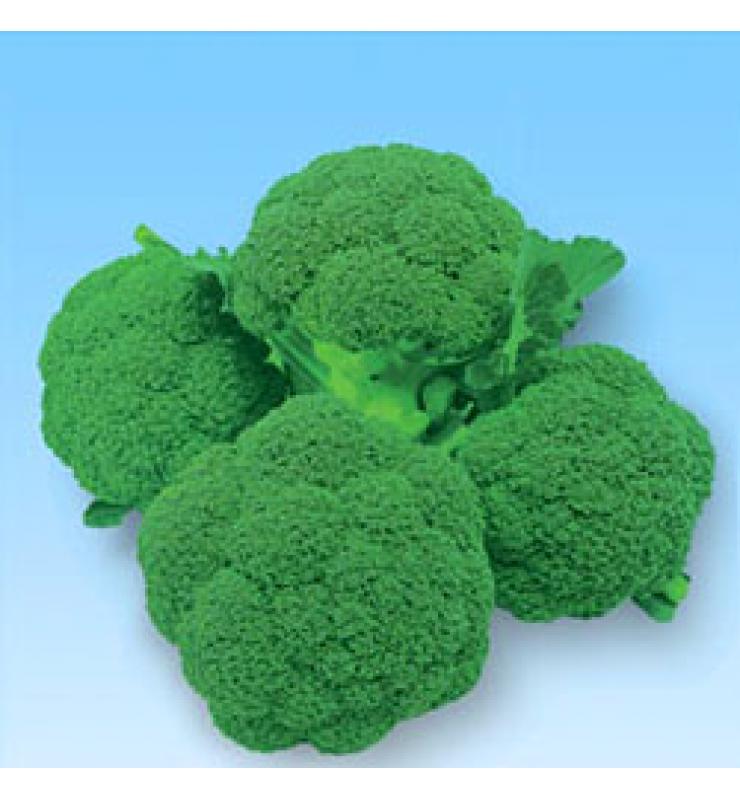 青花菜 綠冠