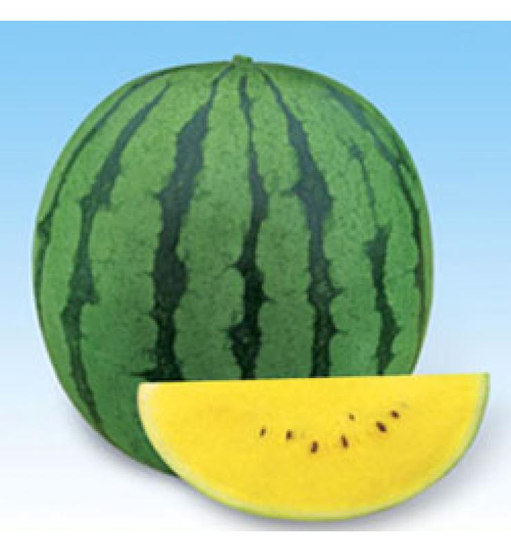 Watermelon Yongle