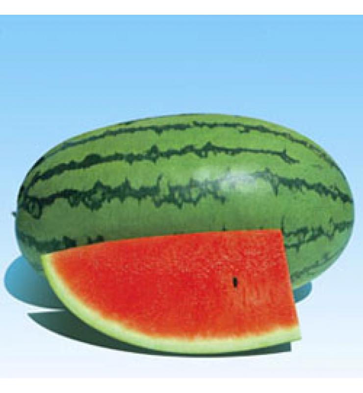watermelon new peak