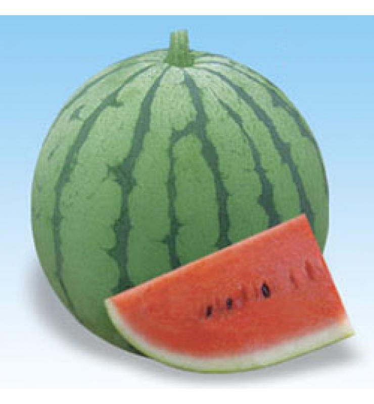 watermelon early crown